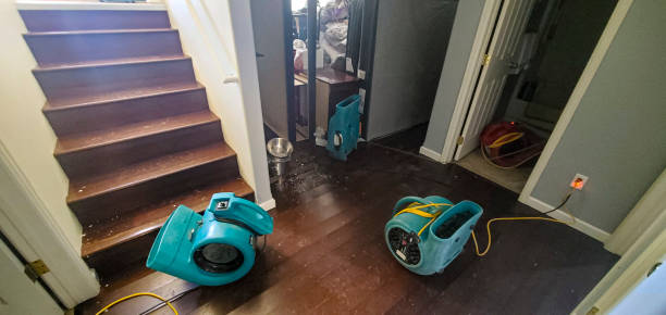 Best Local water damage restoration  in Panther Valley, NJ