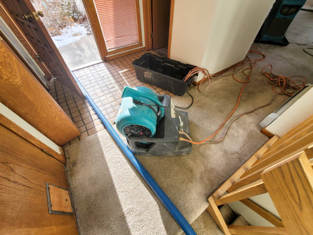 Best Flood damage cleanup  in Panther Valley, NJ