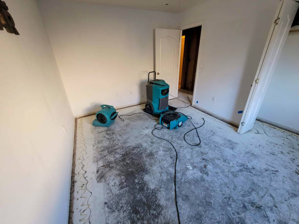 Best Water damage contractors near me  in Panther Valley, NJ
