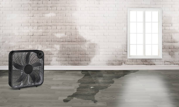 Best Water damage restoration company  in Panther Valley, NJ