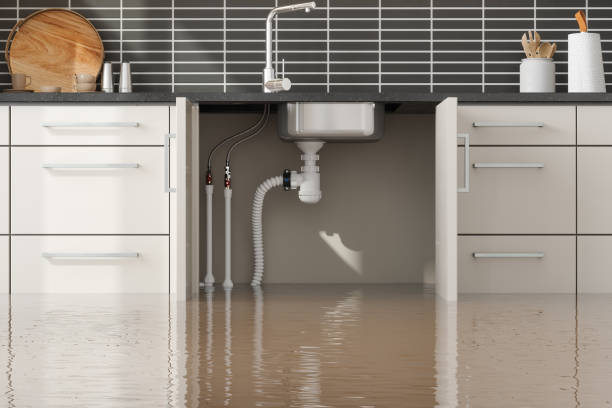 Best Water damage restoration insurance claims  in Panther Valley, NJ