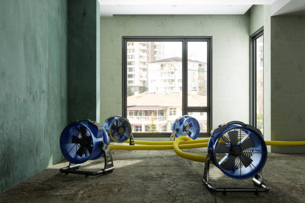 Best Professional water damage repair  in Panther Valley, NJ